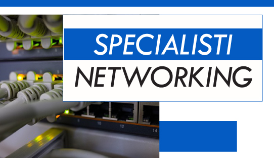Specialisti networking Modena